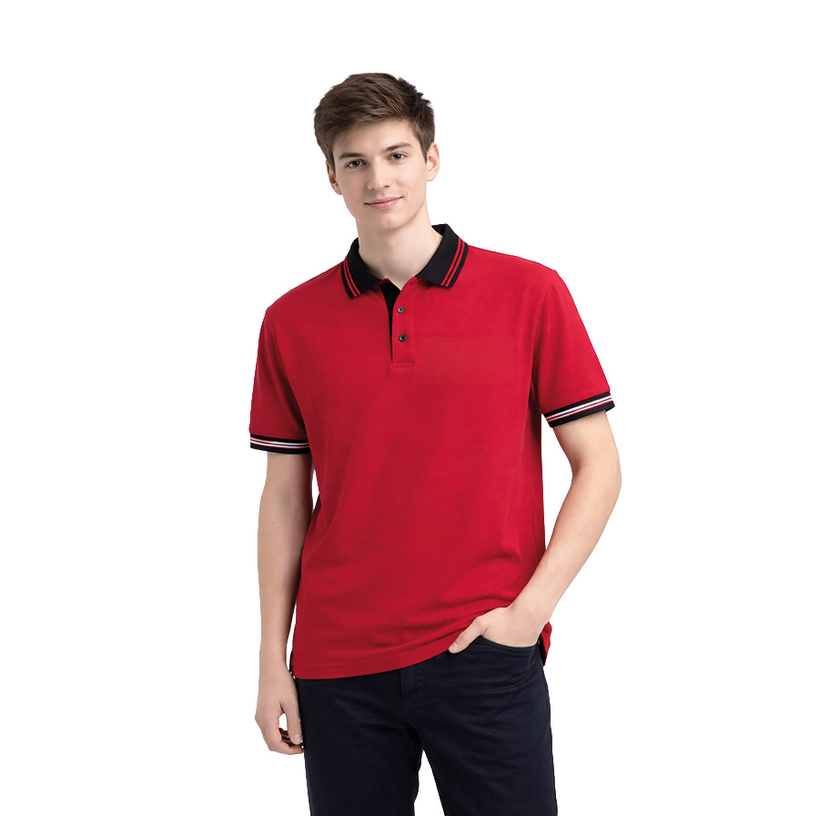 Renkli Kısa Kol Polo Yaka Okul Tshirt